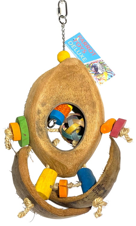 Java coco surf