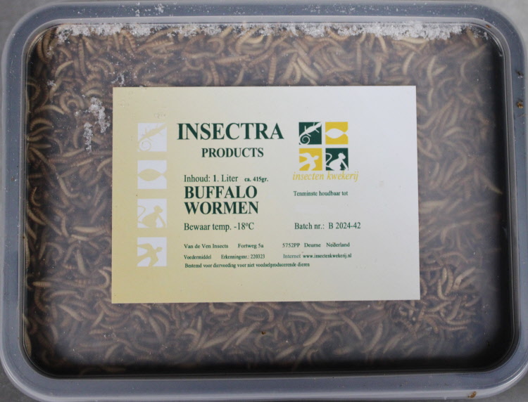 Buffle Insect Top Insect buffalo wormen 425 gram