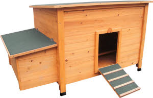 300309 Flamingo kippenhok Fort classic bruin